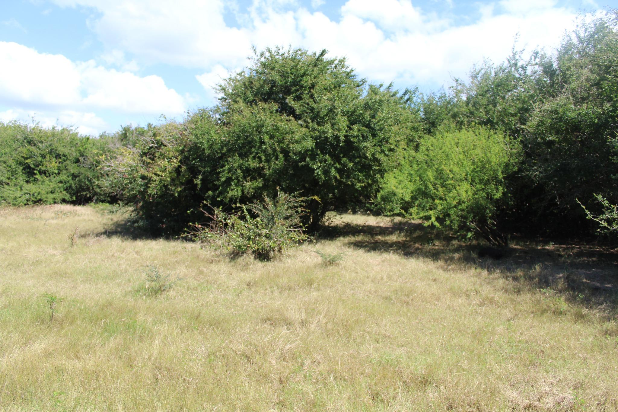 A VENDRE – Magnifique terrain en toute propriété de 1 arpent 33 proche de la plage de Bain Boeuf.