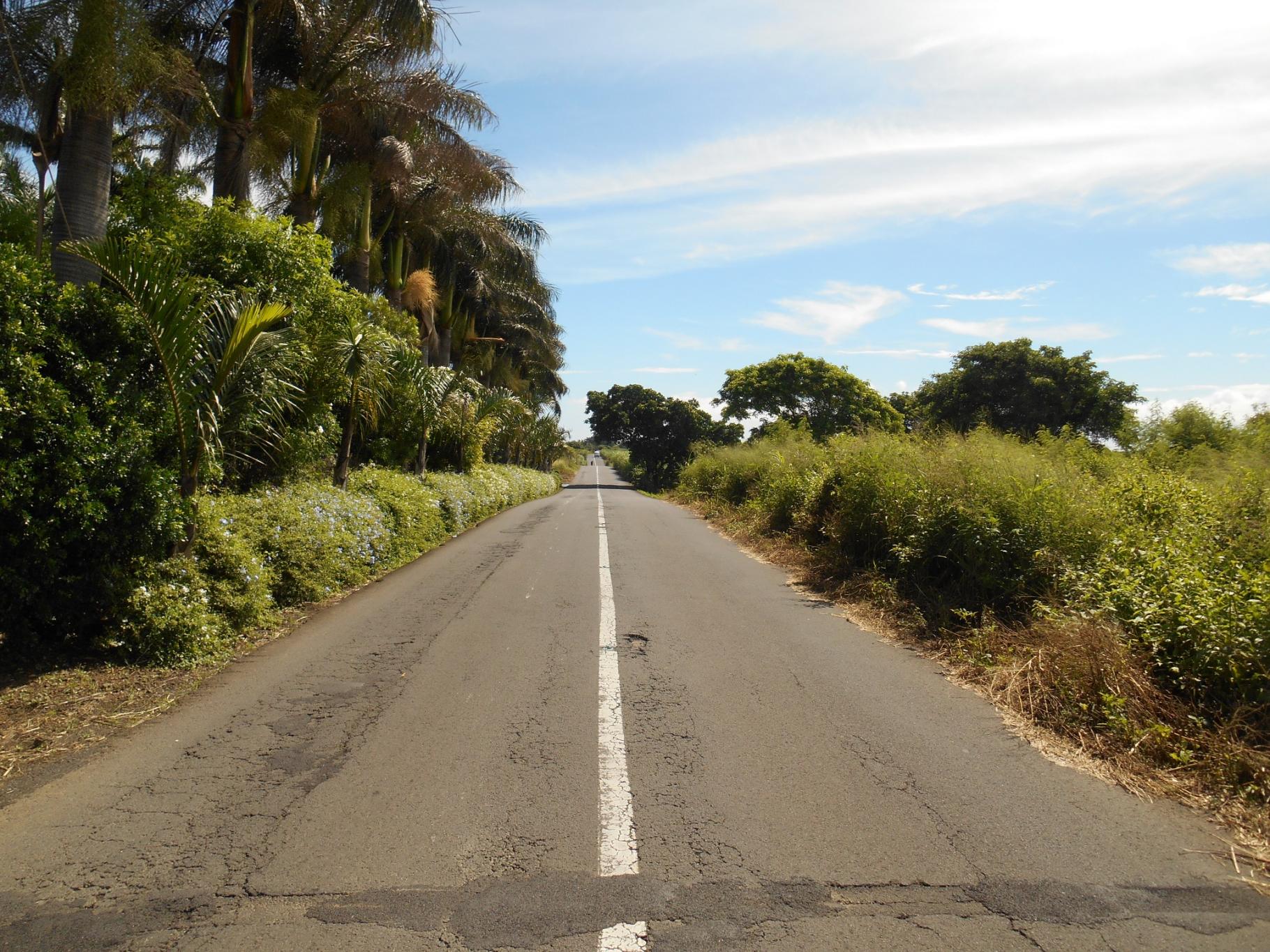 For sale – Beautiful agricultural land of 5 acres 52 located on the main road of St François.