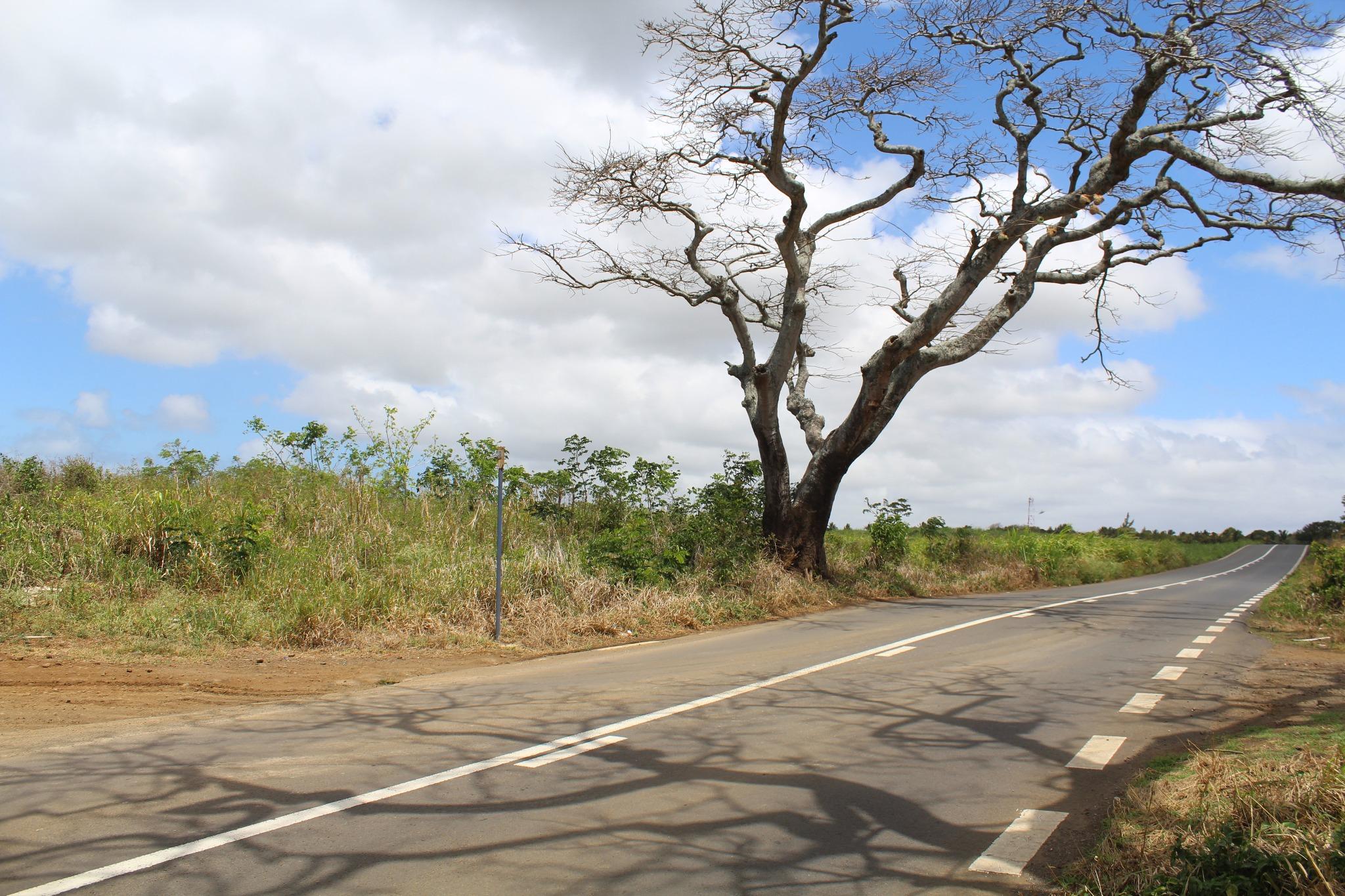 FOR SALE – Agricultural land of 1055 toises on the main road in La Salette, Grand Bay.