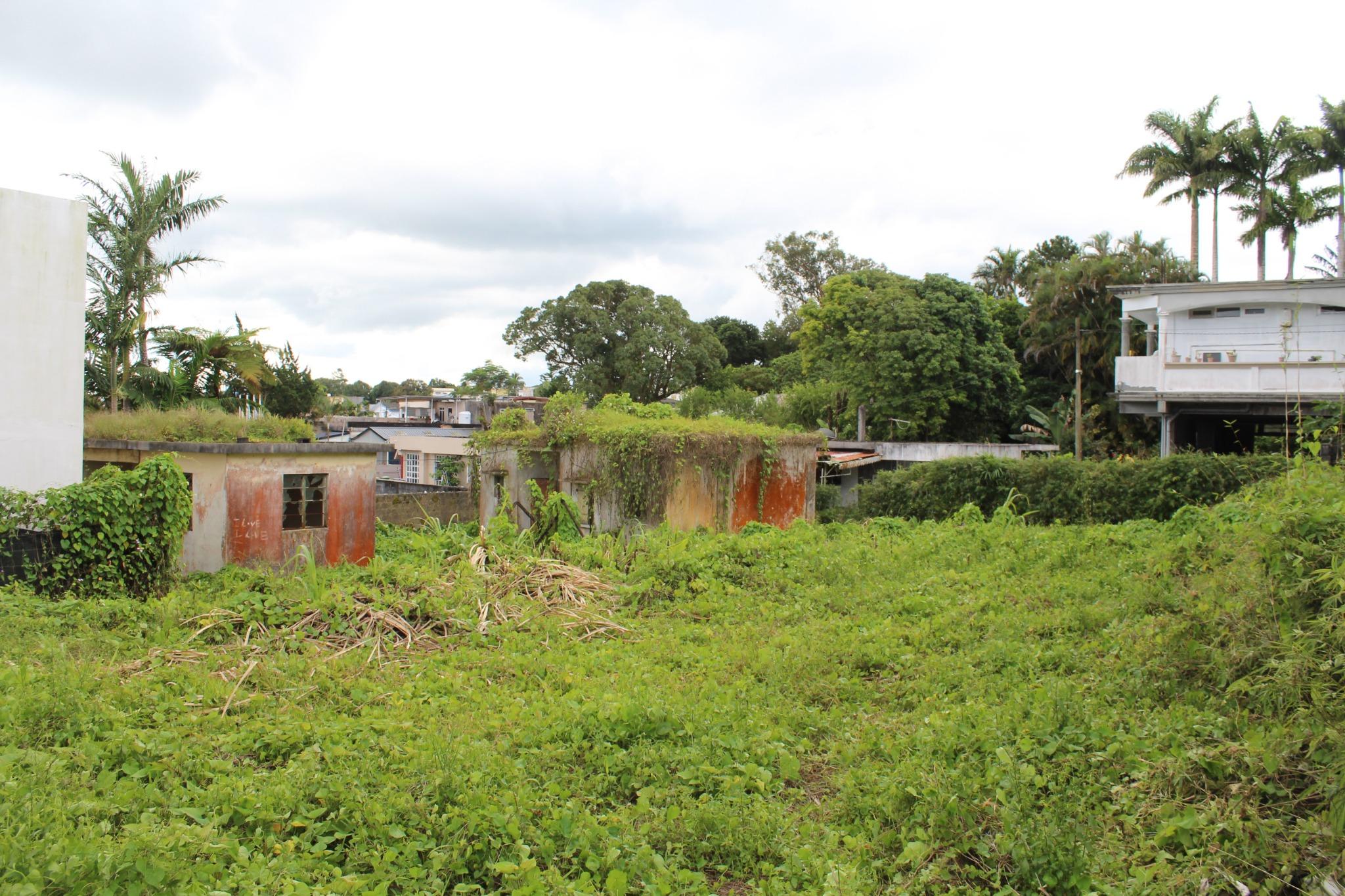 A VENDRE – Beau terrain de 231 toises se situe à Curepipe