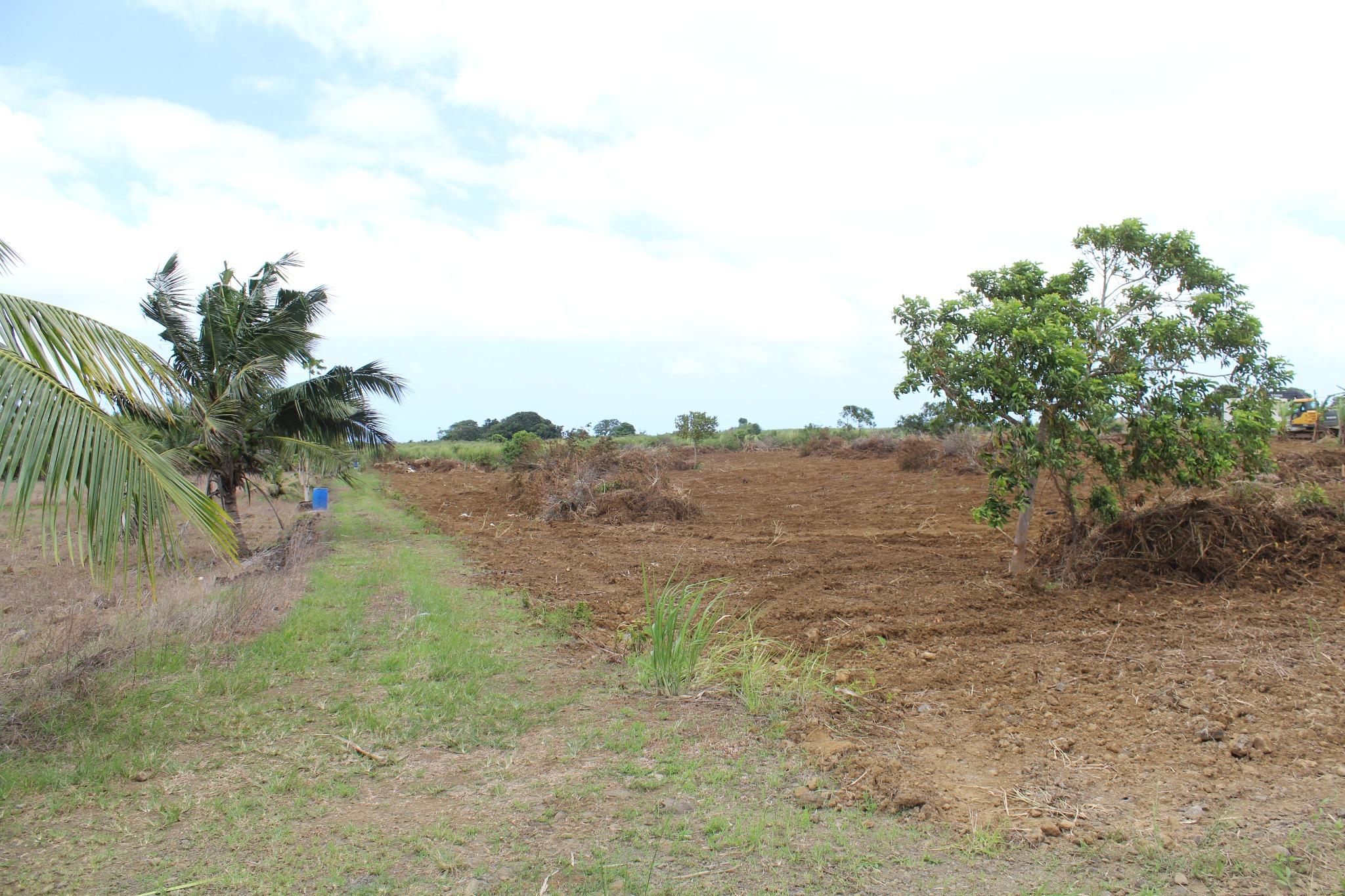 FOR SALE – Agricultural plot of land of 3 acres 07 in Gros Bois.