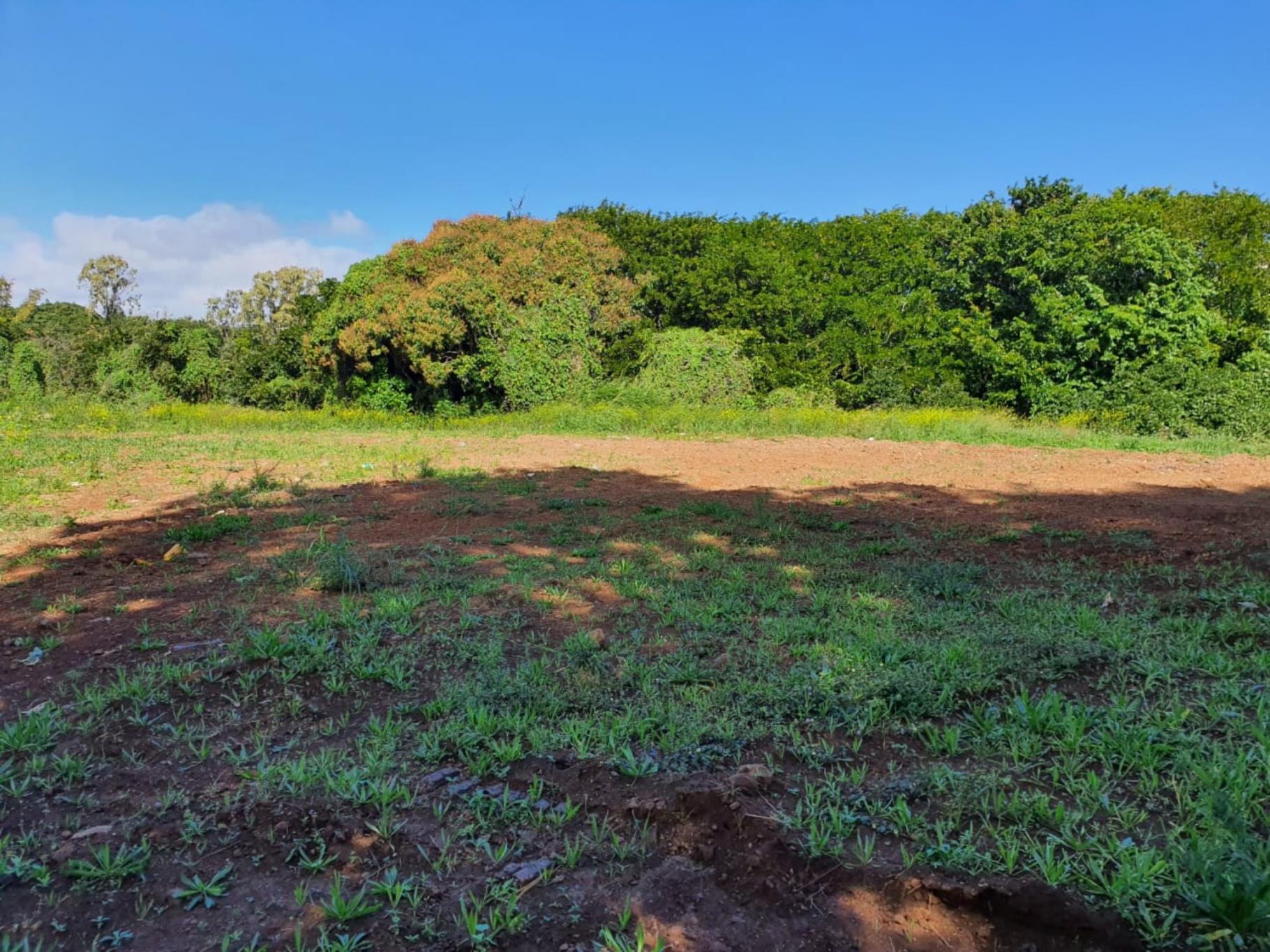 A VENDRE – Magnifique terrain résidentiel et commercial de 5 arpents 64 situé entre la frontière de Réduit et Ebène.