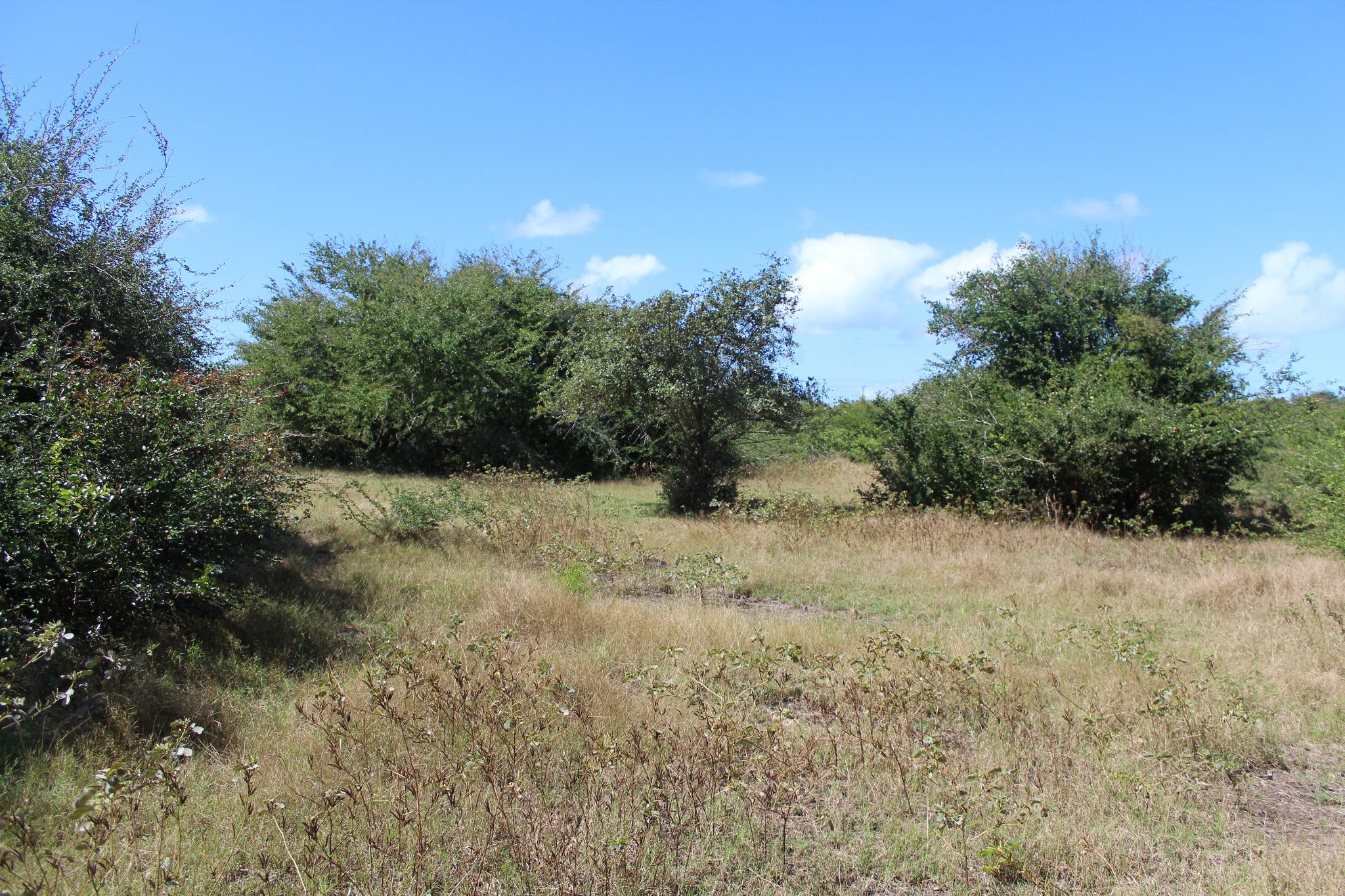 A VENDRE – Magnifique terrain en toute propriété de 1 arpent 12 proche de la plage de Bain Boeuf.