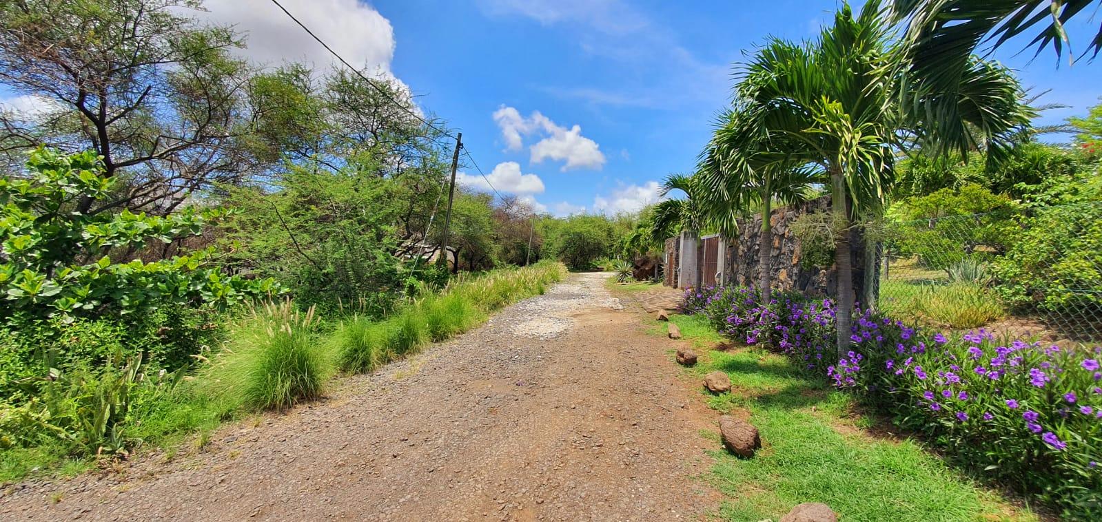 Home Habitat Immobilier