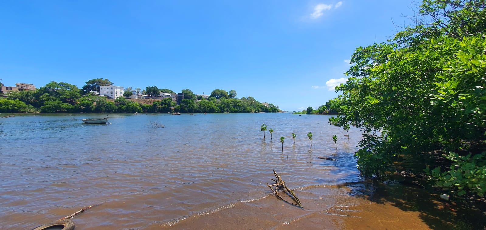 A VENDRE –  Terrain industriel pieds dans l’eau à bail de 596 toises à Grande Rivière Nord-Ouest