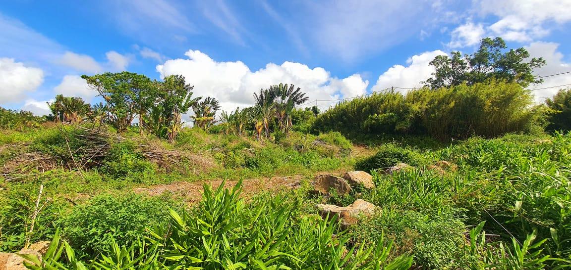 FOR SALE – Residential land of 195 toises located in Midlands in a quiet area