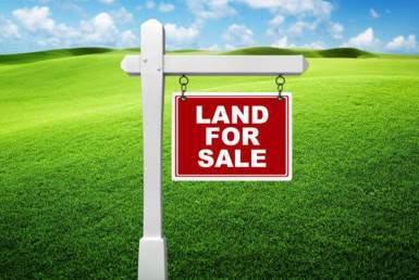 FOR SALE – Commercial plot of land of 100 toises located in Port-Louis