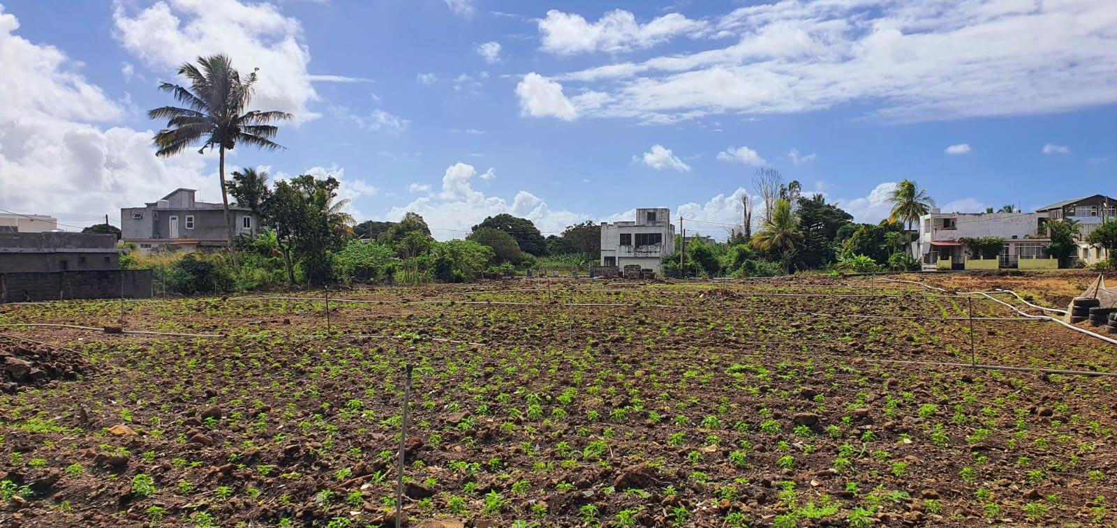 A VENDRE – beau terrain de 1 arpent 06 avec accès sur 2 chemins situé à Bramsthan