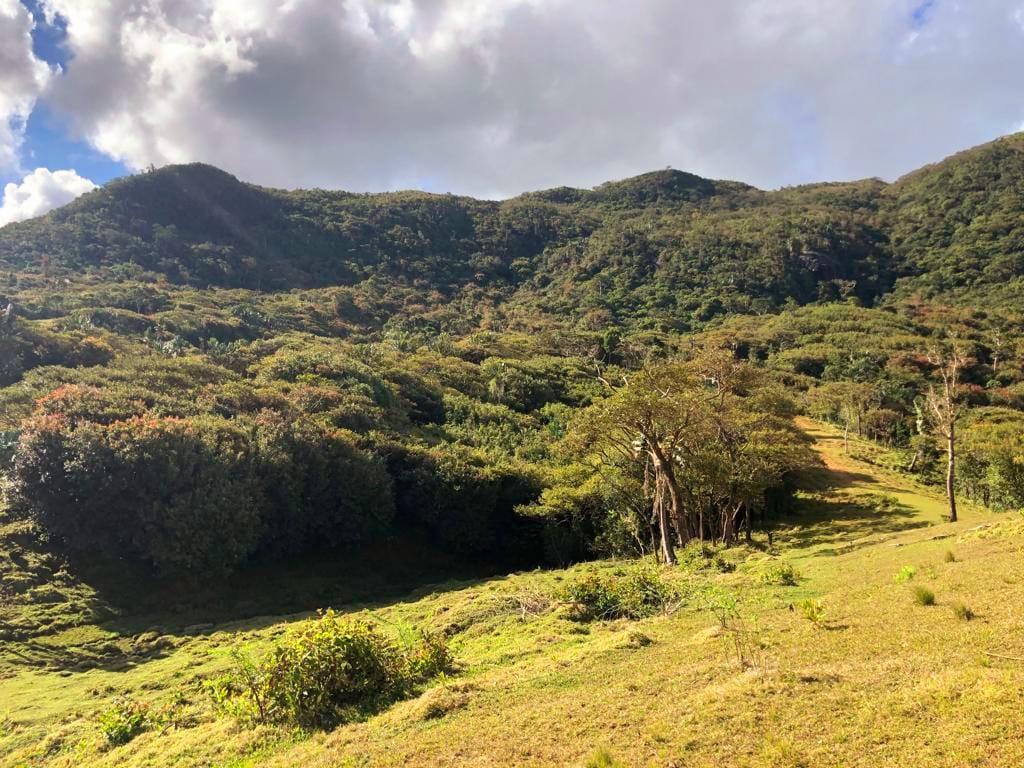 FOR SALE – Beautiful plot of land of 160 toises enjoying an exceptional view of the mountain, located at Domaine de Lagrave in Eau Bleue