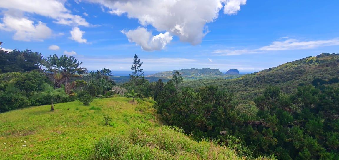 FOR SALE – This beautiful commercial plot of land of 2 acres 13 located in an enchanting setting in Plaine Champagne