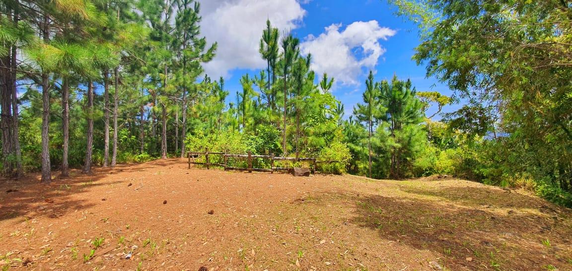 A VENDRE – Ce magnifique terrain de 4 arpents situé dans un cadre enchanteur à Plaine Champagne