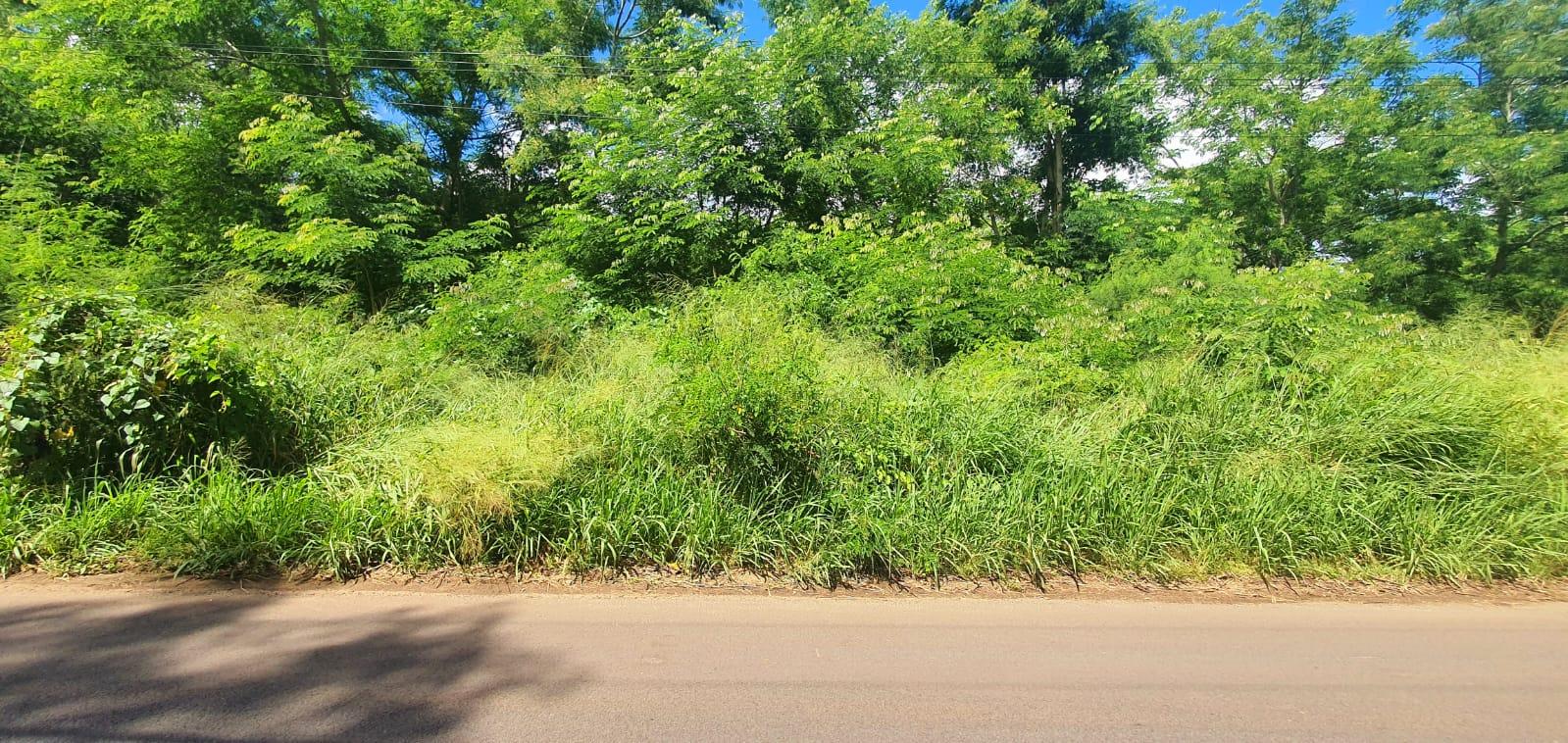 FOR SALE – Unique opportunity to acquire this corner plot of land of 5,213m2 (1 acre 23) giving access on 2 roads ideally located on the main road of the Black River Gorges.