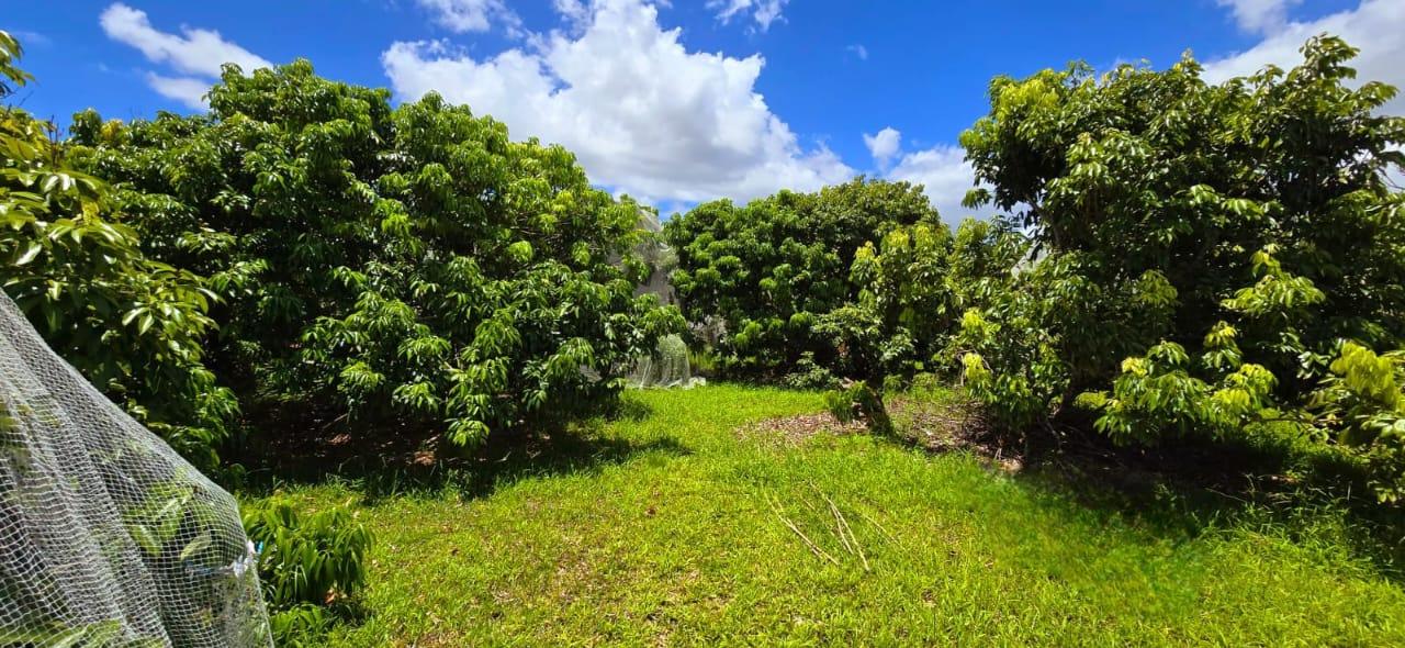 This fenced agricultural land of 1 acre 17 located in La Flora
