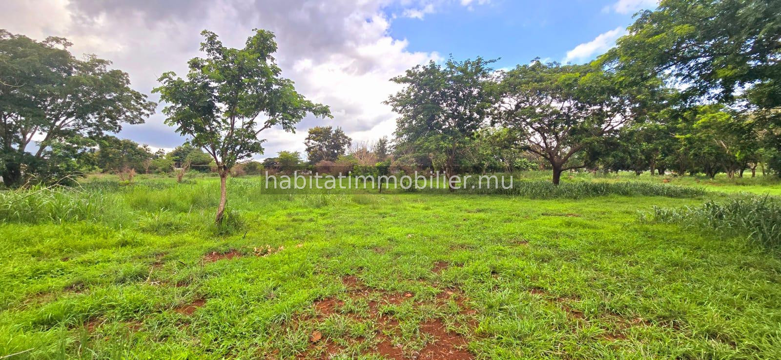 Big agricultural land of 9 arpents 99 (42,195 m² / 11,103 toises) located within the industrial zone in La Tour Koenig