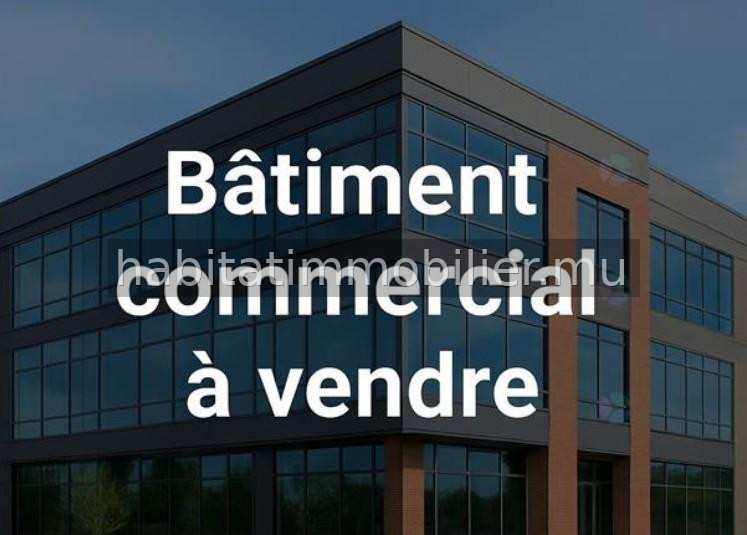 Ce bâtiment commercial de 700 m² sur un terrain de 266 toises est situé sur une avenue très réputée de Floréal