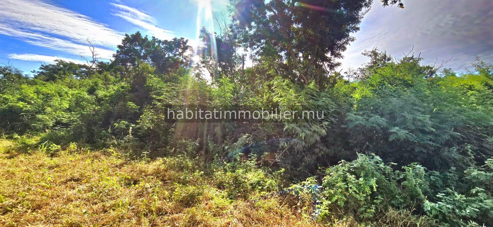 Located in the industrial zone of Pailles, this land of 1 arpent 44 (6,109 m² / 1,607 toises) offers excellent development potential and is directly adjacent to the Smart City of Montebello