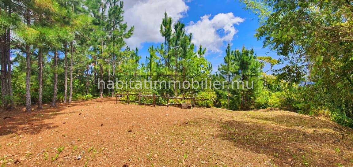A VENDRE – Ce magnifique terrain de 4 arpents situé dans un cadre enchanteur à Plaine Champagne